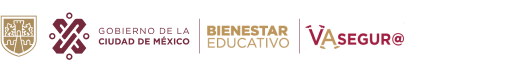 Gobierno de la Ciudad de México, Bienestar educativo, Va seguro